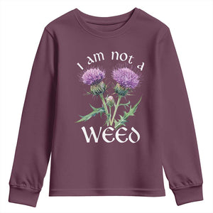 Funny Scottish Thistle I Am Not A Weed Youth Sweatshirt TS11 Maroon Print Your Wear