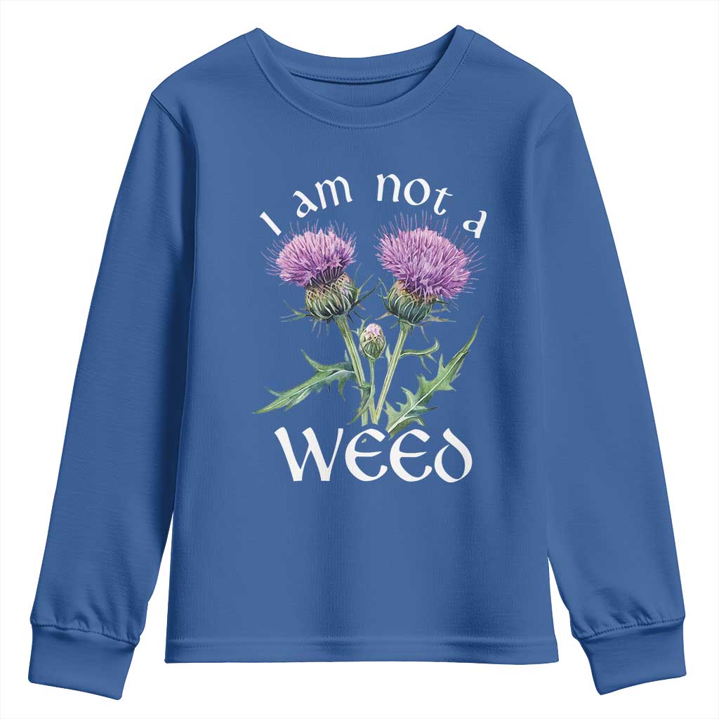 Funny Scottish Thistle I Am Not A Weed Youth Sweatshirt TS11 Royal Blue Print Your Wear