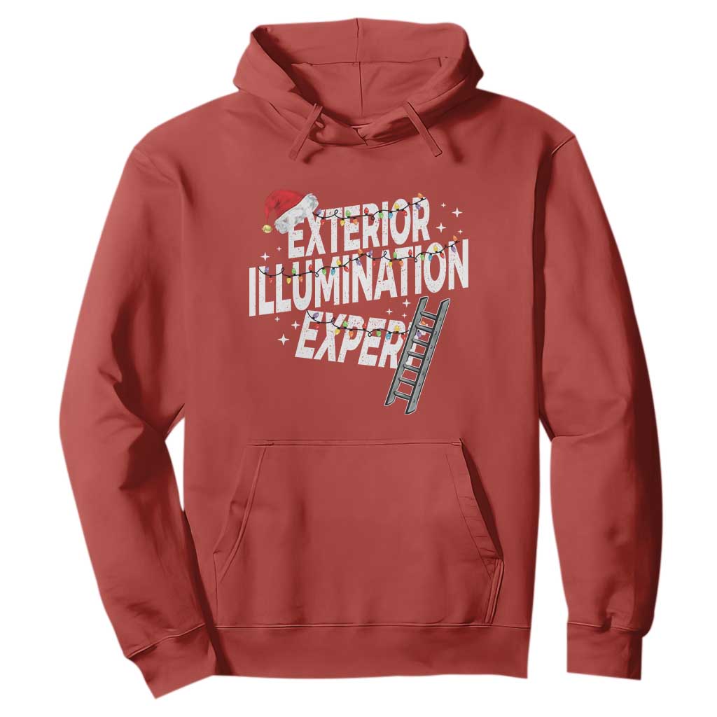 Funny Christmas Exterior Illumination Expert Hoodie Xmas Lights Decorator TS11 Red Print Your Wear