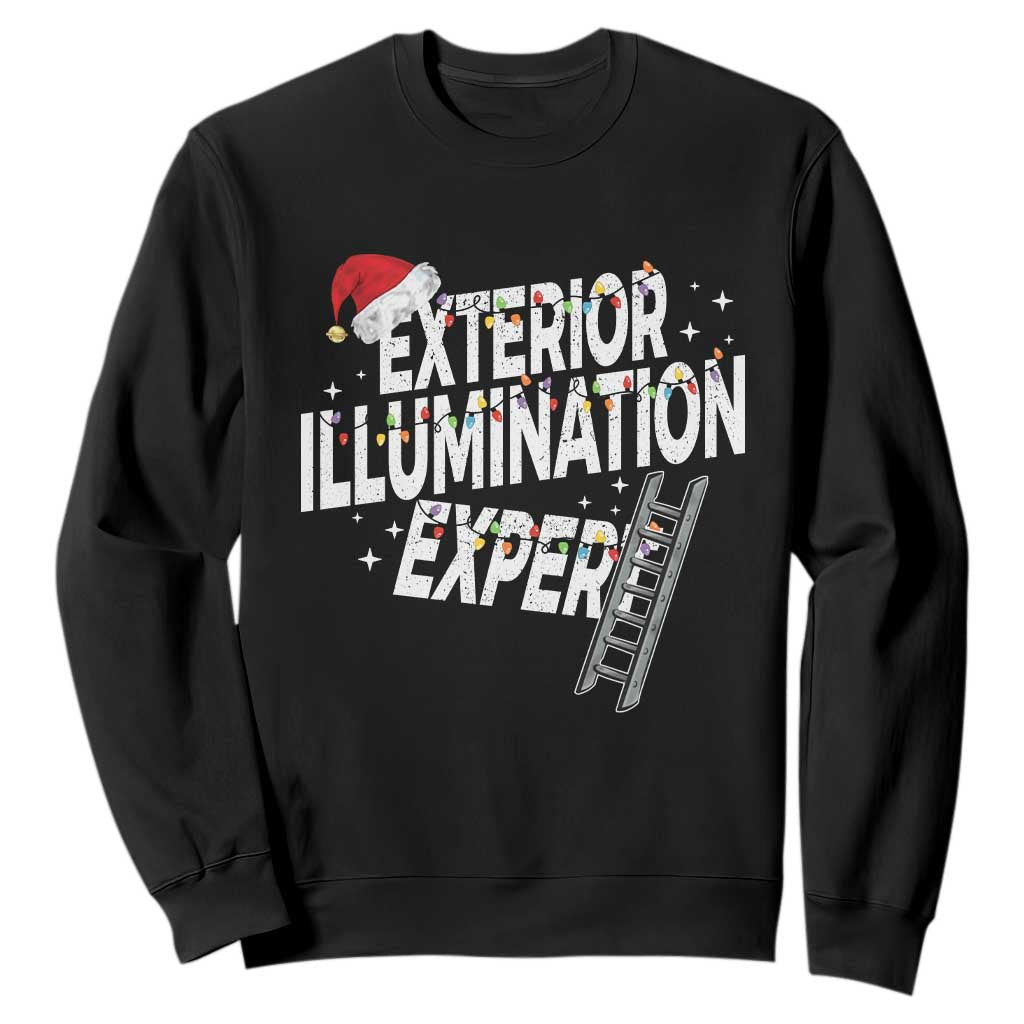 Funny Christmas Exterior Illumination Expert Sweatshirt Xmas Lights Decorator TS11 Black Print Your Wear