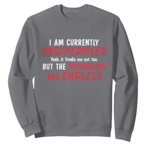 Funny I Am Currently Unsupervised But The Possibilities Are Endless Sweatshirt TS11 Charcoal Print Your Wear