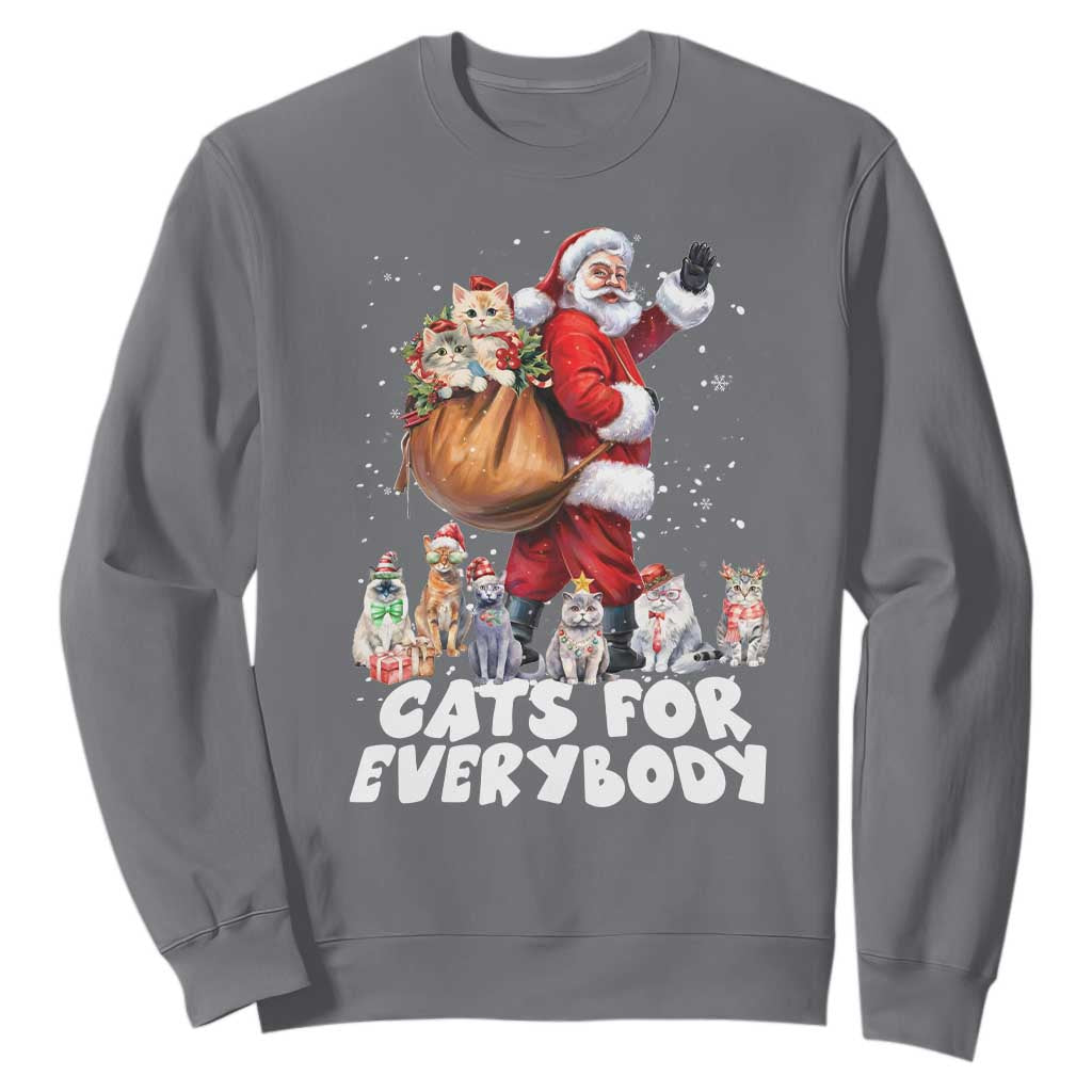 Funny Christmas Cat Sweatshirt Cats For Everybody Xmas Santa Pet TS11 Charcoal Print Your Wear