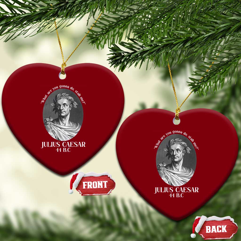 Funny Julius Caesar Ceramic Ornament What Are You Gonna Do Stab Me Roman History TS11 Print Your Wear