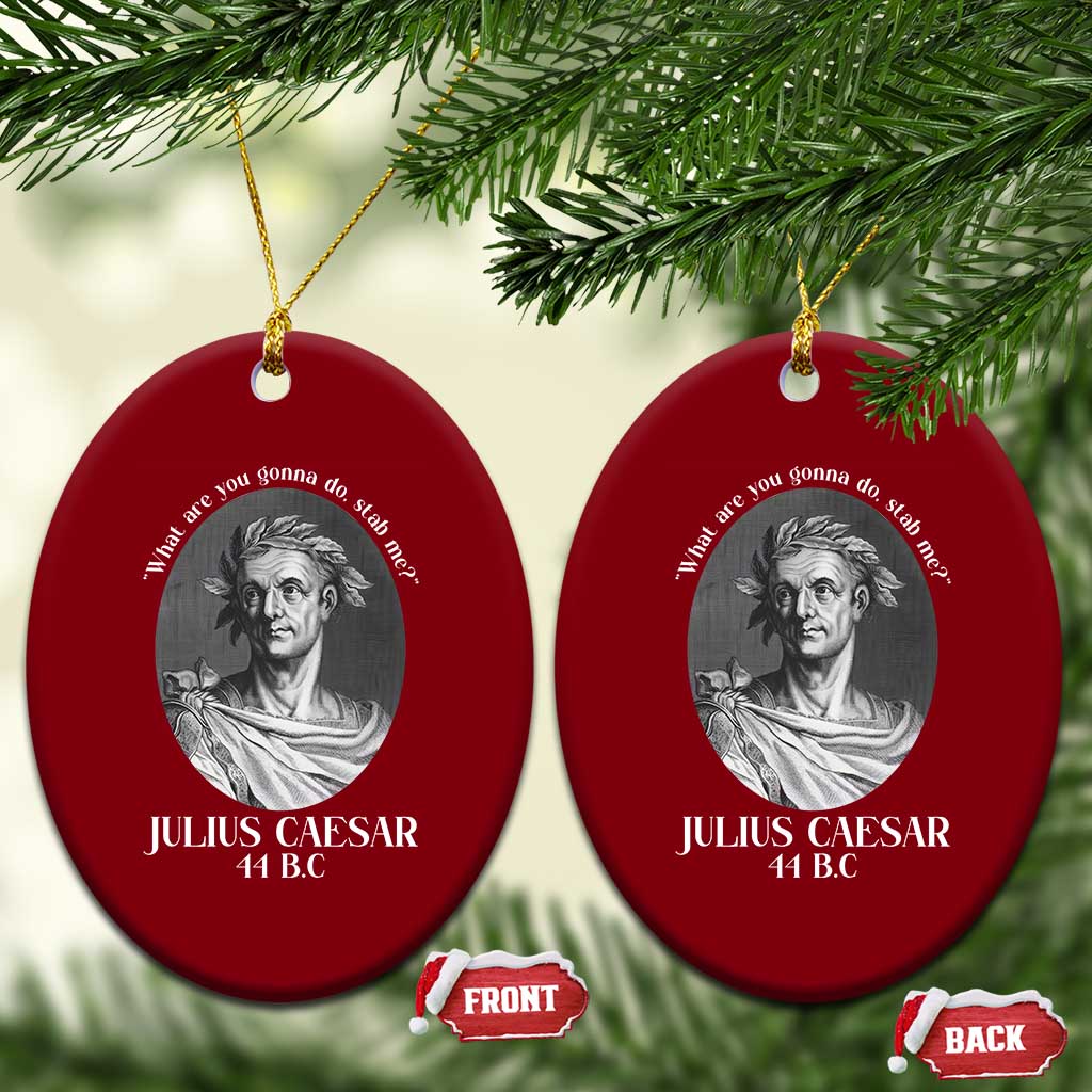 Funny Julius Caesar Ceramic Ornament What Are You Gonna Do Stab Me Roman History TS11 Print Your Wear