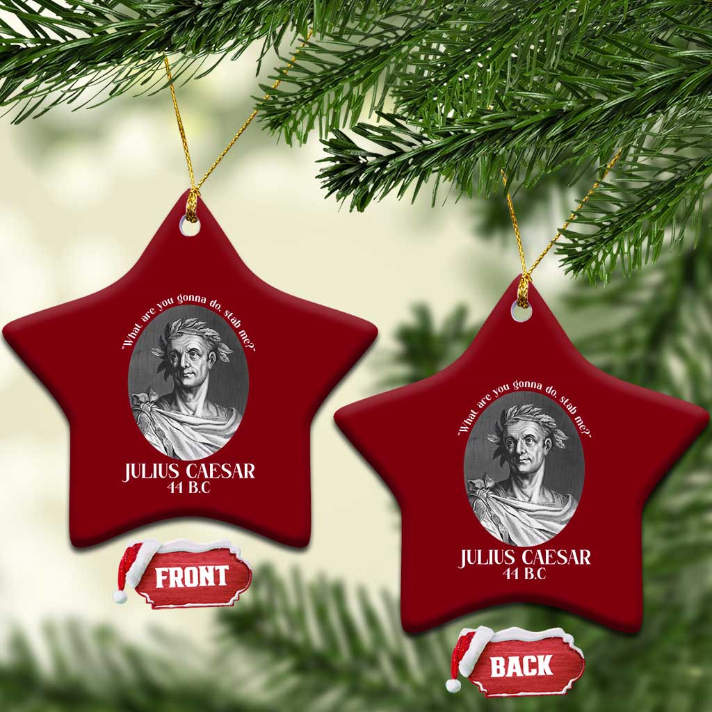 Funny Julius Caesar Ceramic Ornament What Are You Gonna Do Stab Me Roman History TS11 Print Your Wear