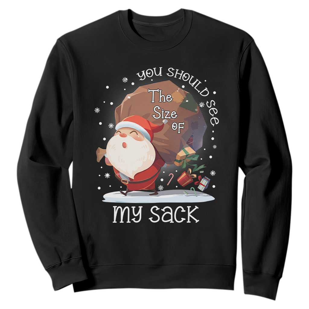 Funny Christmas Santa Sweatshirt You Should See The Size Of My Sack Presents TS11 Black Print Your Wear
