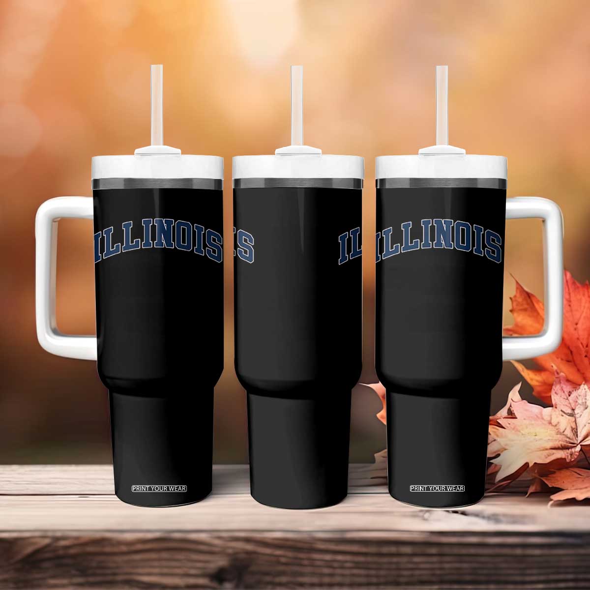 Illinois Sports Fan Vintage Bold Throwback IL State Tumbler With Handle TS11 Print Your Wear