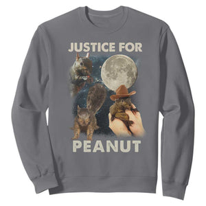 Justice For Peanut The Squirrel 2024 Moon Sweatshirt TS11 Charcoal Print Your Wear