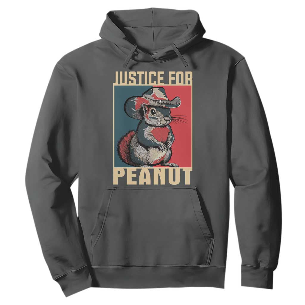 Justice For Peanut The Squirrel 2024 Hoodie TS11 Dark Heather Print Your Wear