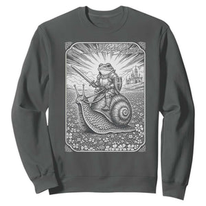 Funny Medieval Frog Knight Riding Weirdcore Snail Sweatshirt