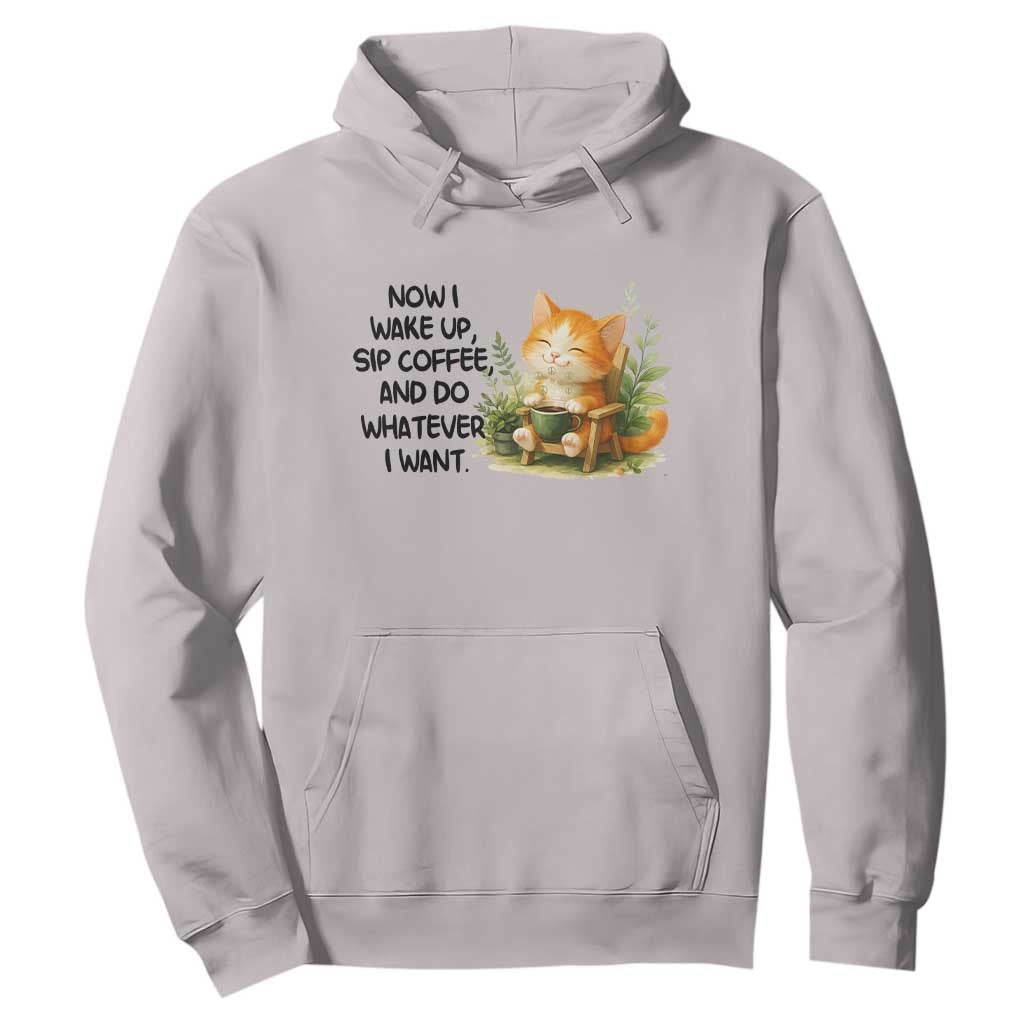 Cat Coffee Lover Hoodie Now I Wake Up Sip Coffee And Do Whatever I Want TS12 Ice Gray Print Your Wear