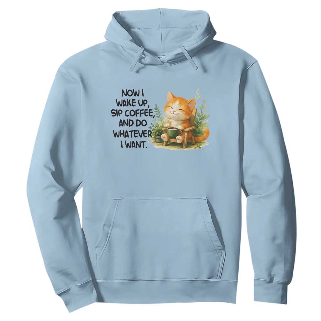 Cat Coffee Lover Hoodie Now I Wake Up Sip Coffee And Do Whatever I Want TS12 Light Blue Print Your Wear