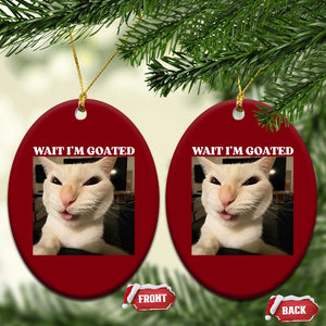 Funny Cat Meme Lover Ceramic Ornament TS12 Print Your Wear