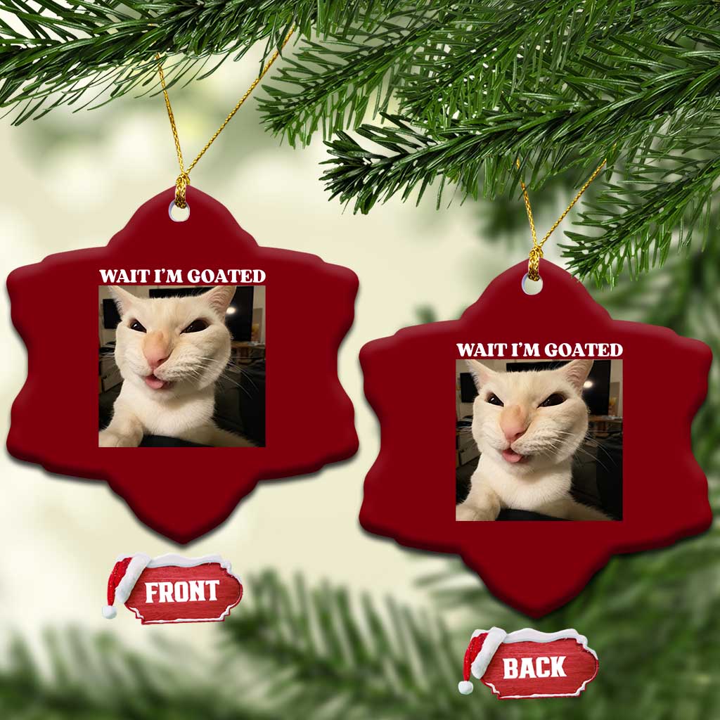 Funny Cat Meme Lover Ceramic Ornament TS12 Print Your Wear
