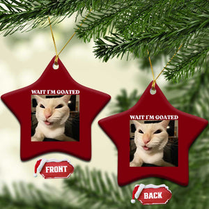 Funny Cat Meme Lover Ceramic Ornament TS12 Print Your Wear