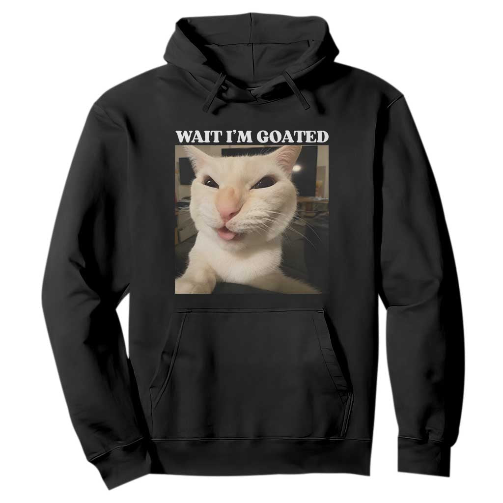 Funny Cat Meme Lover Hoodie TS12 Black Print Your Wear