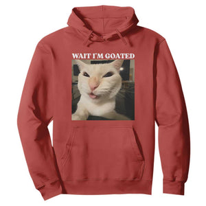 Funny Cat Meme Lover Hoodie TS12 Red Print Your Wear