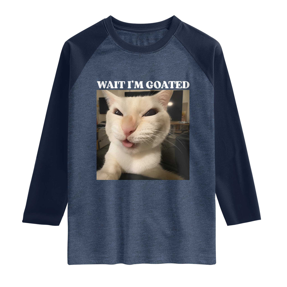 Funny Cat Meme Lover Raglan Shirt TS12 Heather Denim Navy Print Your Wear
