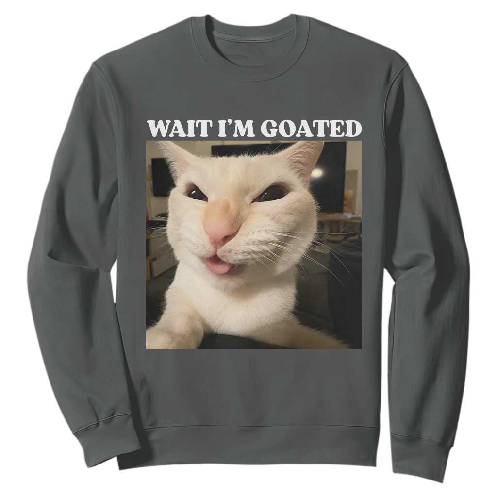 Funny Cat Meme Lover Sweatshirt TS12 Dark Heather Print Your Wear