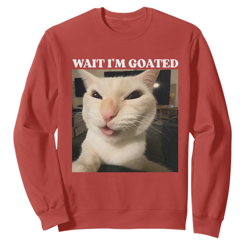 Funny Cat Meme Lover Sweatshirt TS12 Red Print Your Wear
