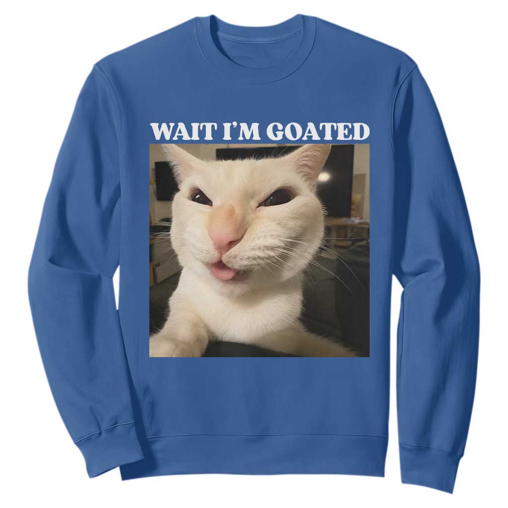 Funny Cat Meme Lover Sweatshirt TS12 Royal Blue Print Your Wear