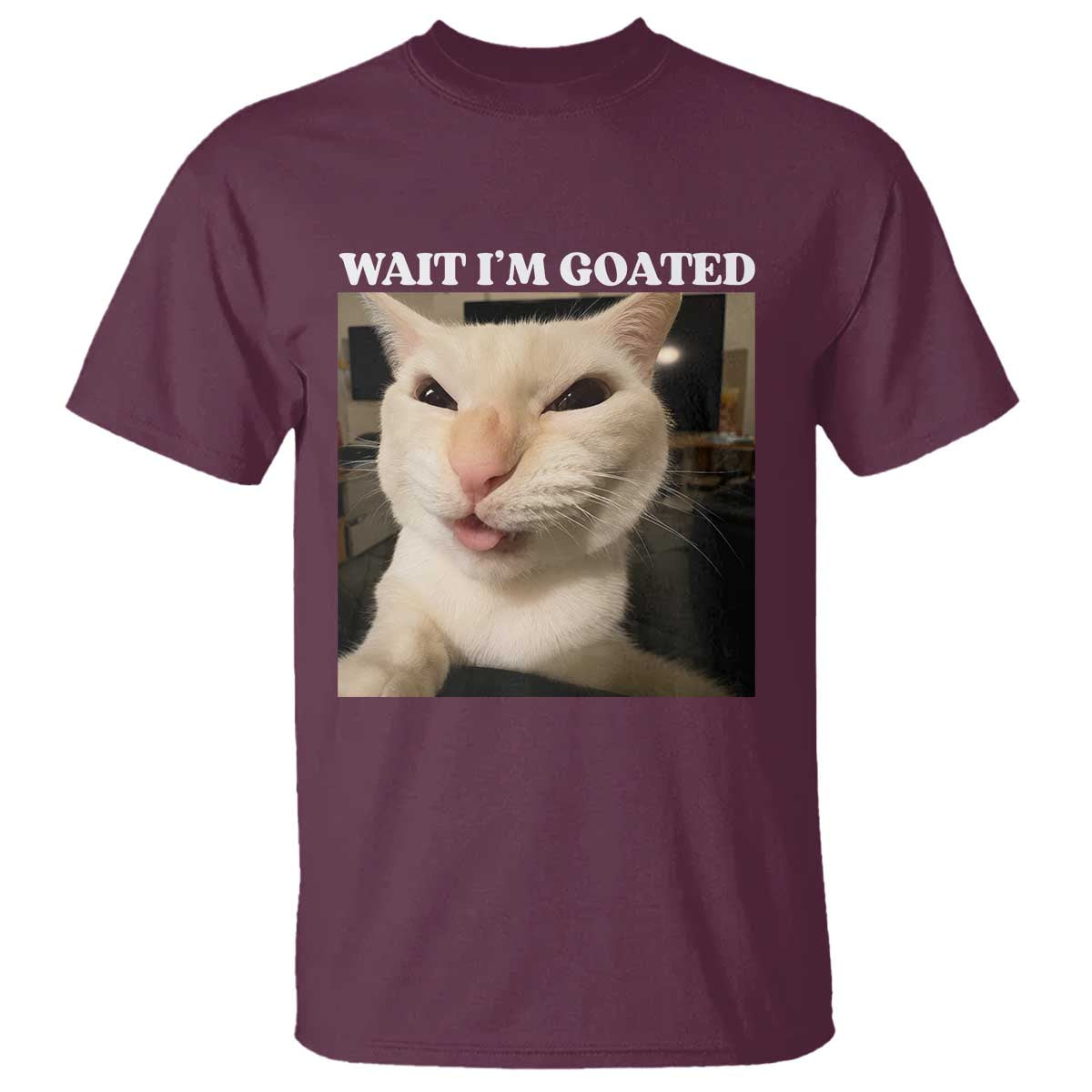Funny Cat Meme Lover T Shirt TS12 Maroon Print Your Wear