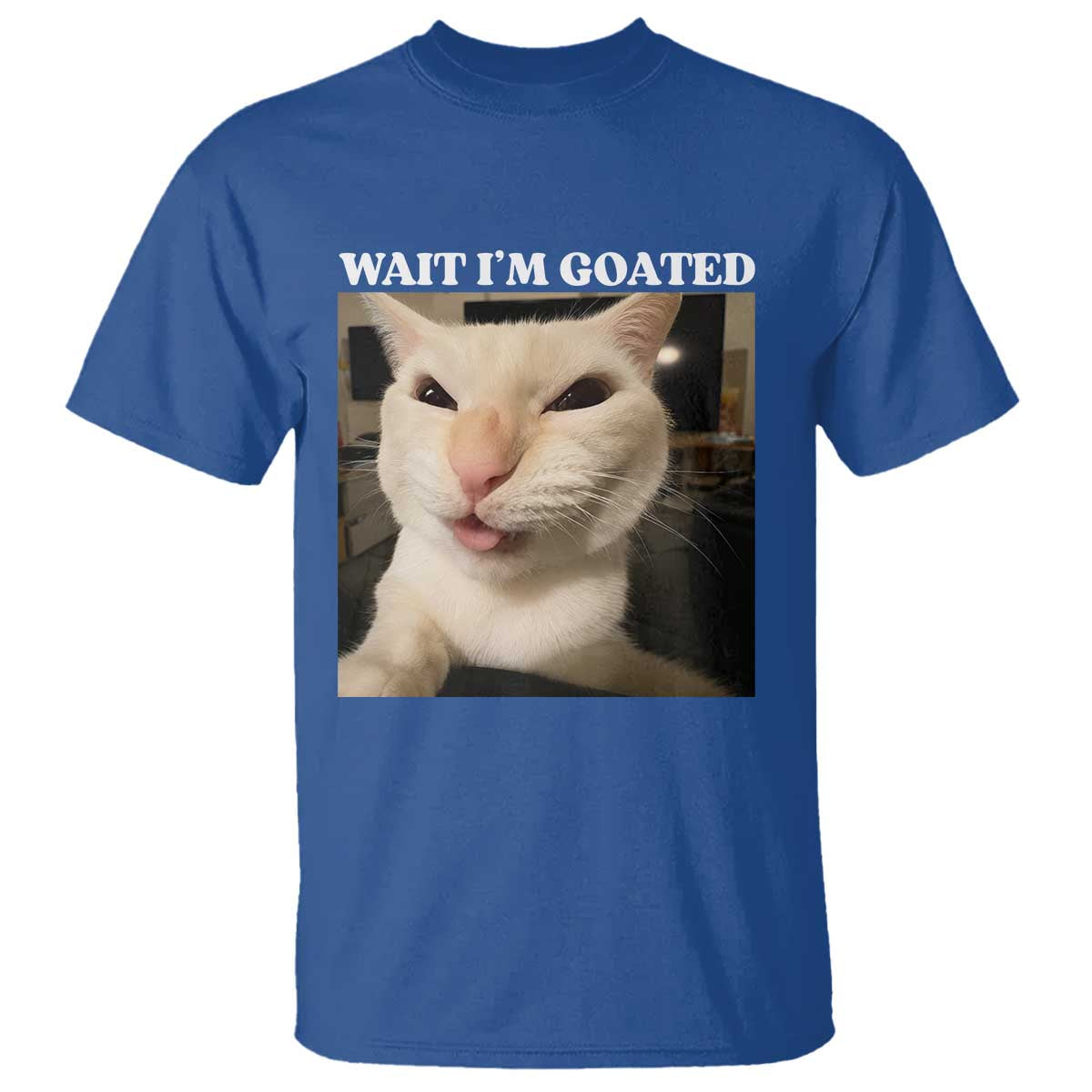 Funny Cat Meme Lover T Shirt TS12 Royal Blue Print Your Wear