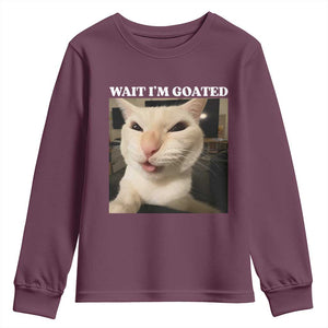 Funny Cat Meme Lover Youth Sweatshirt TS12 Maroon Print Your Wear