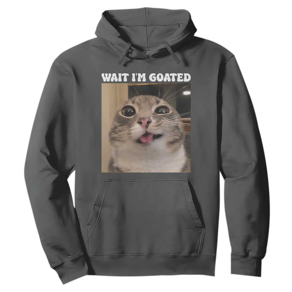 Funny Silly Cat Meme Hoodie Wait Im Goated TS12 Dark Heather Print Your Wear