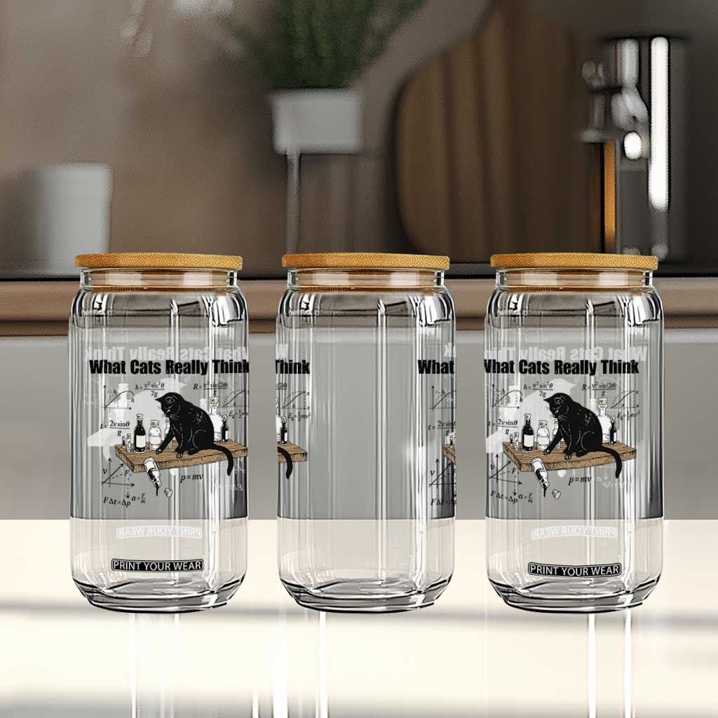 Funny Physics Cat Meme Glass Can What Cats Really Think TS12 Print Your Wear