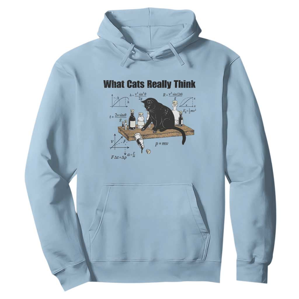 Funny Physics Cat Meme Hoodie What Cats Really Think TS12 Light Blue Print Your Wear
