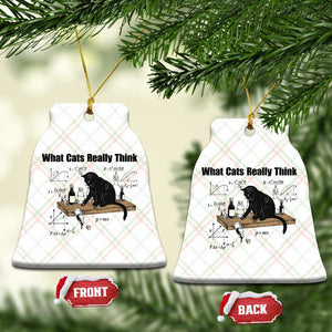 Funny Physics Cat Meme Ceramic Ornament What Cats Really Think TS12 Print Your Wear