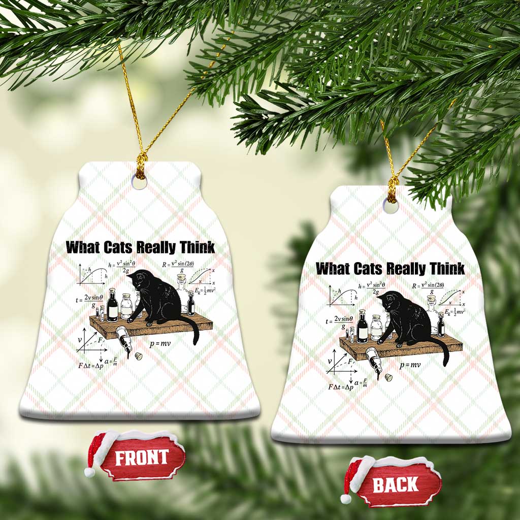 Funny Physics Cat Meme Ceramic Ornament What Cats Really Think TS12 Print Your Wear