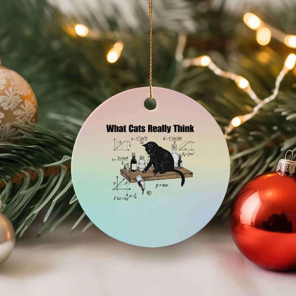 Funny Physics Cat Meme Ceramic Ornament What Cats Really Think TS12 1pc Pastel Print Your Wear