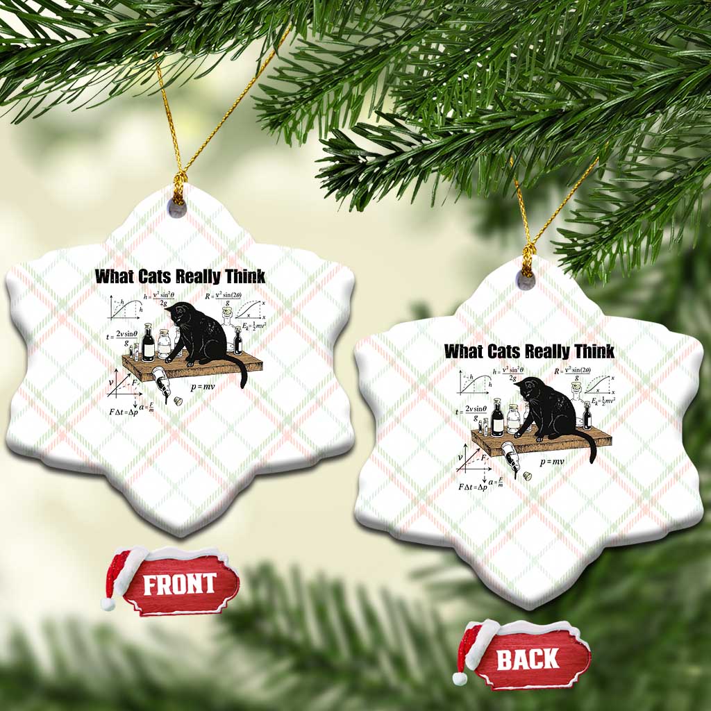 Funny Physics Cat Meme Ceramic Ornament What Cats Really Think TS12 Print Your Wear