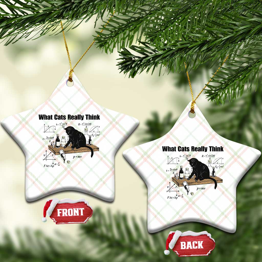 Funny Physics Cat Meme Ceramic Ornament What Cats Really Think TS12 Print Your Wear