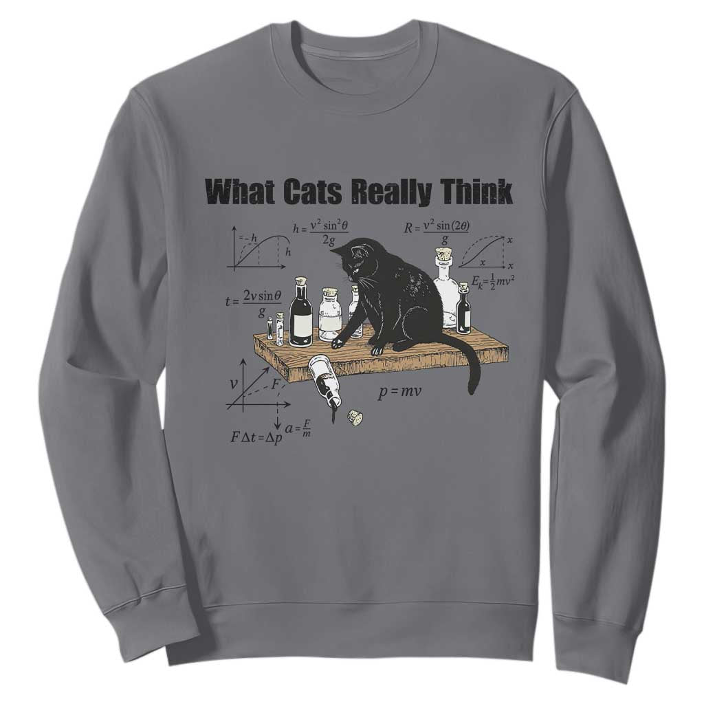 Funny Physics Cat Meme Sweatshirt What Cats Really Think TS12 Charcoal Print Your Wear