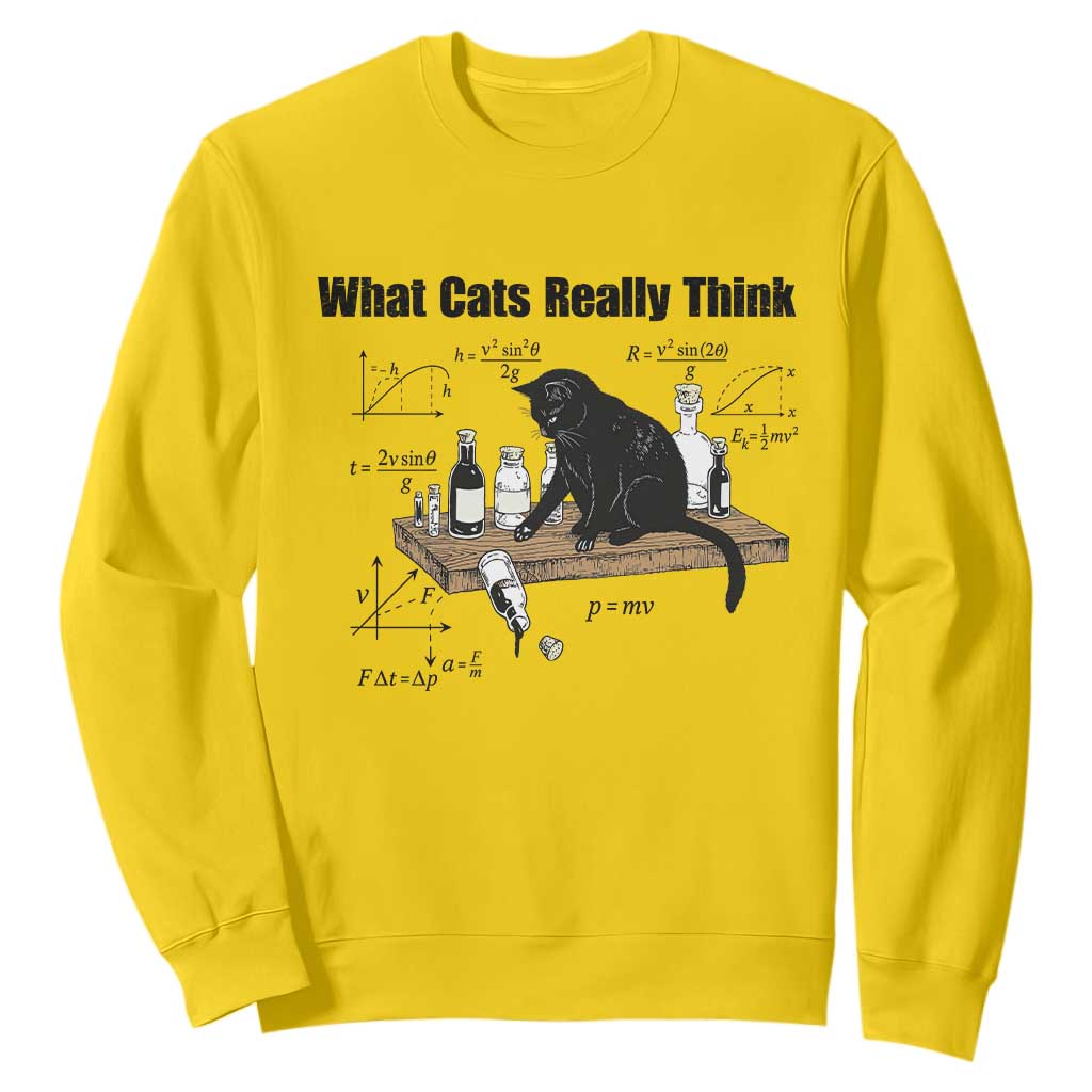 Funny Physics Cat Meme Sweatshirt What Cats Really Think TS12 Daisy Print Your Wear