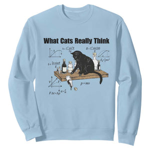 Funny Physics Cat Meme Sweatshirt What Cats Really Think TS12 Light Blue Print Your Wear