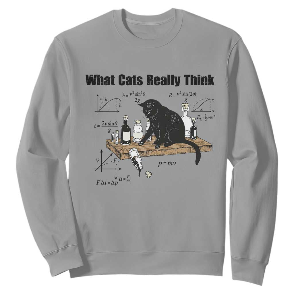 Funny Physics Cat Meme Sweatshirt What Cats Really Think TS12 Sport Gray Print Your Wear