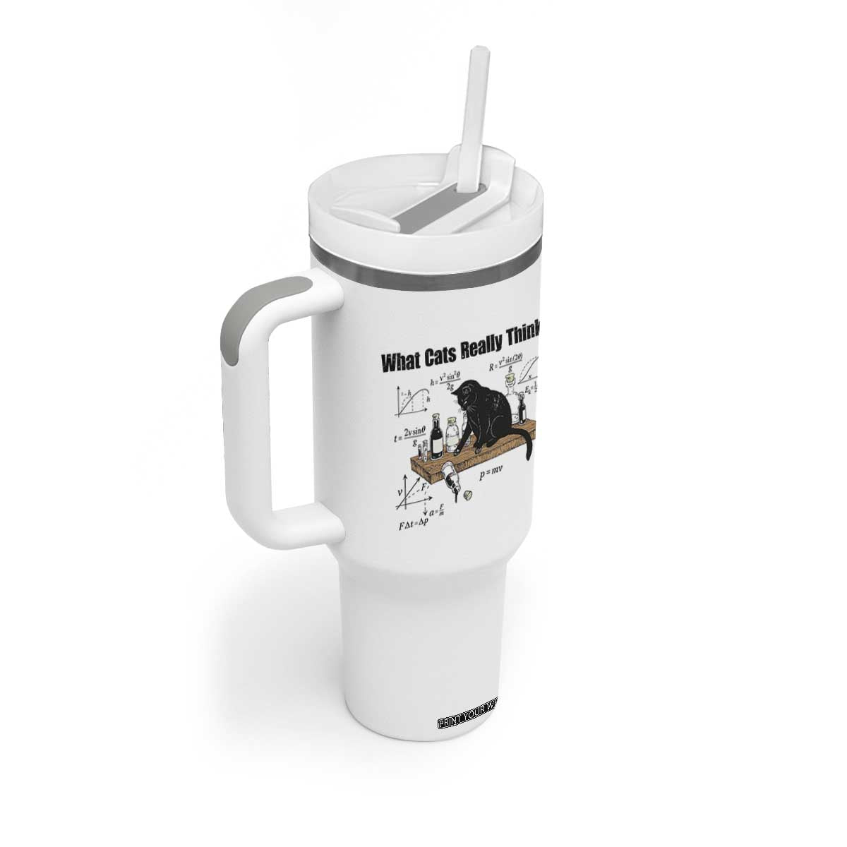 Funny Physics Cat Meme Tumbler With Handle What Cats Really Think TS12 Print Your Wear