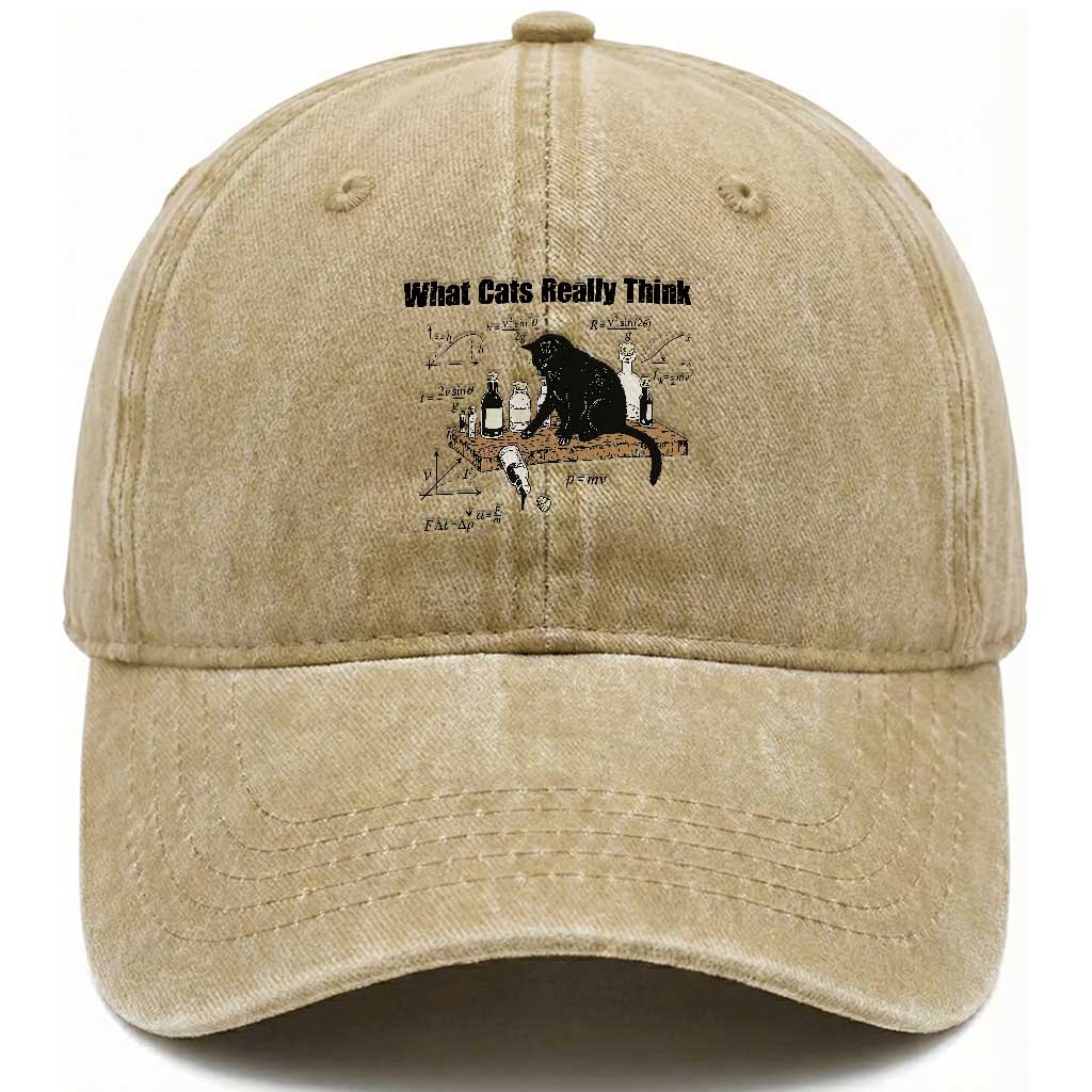 Funny Physics Cat Meme Washed Cotton Baseball Cap What Cats Really Think TS12 Print Your Wear