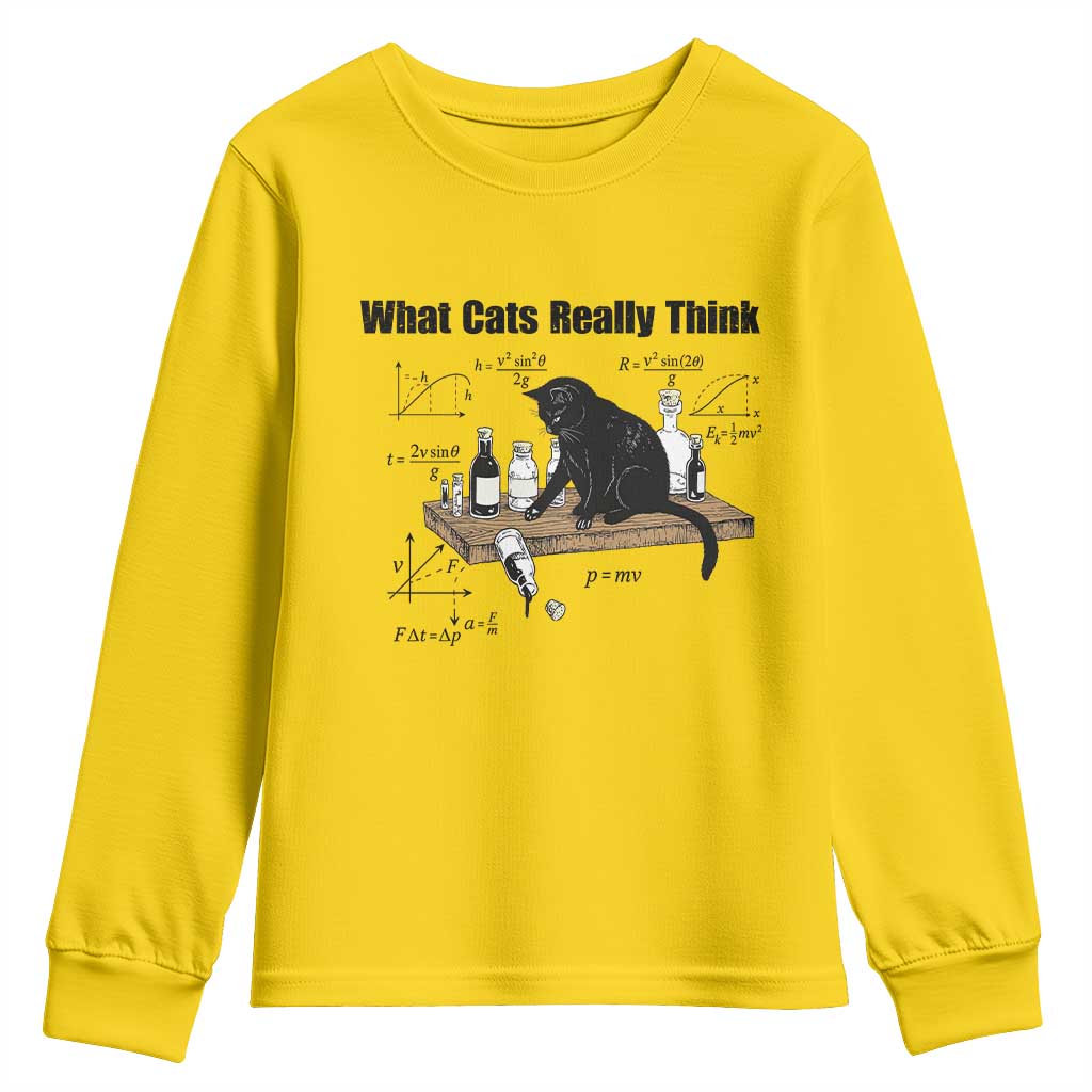 Funny Physics Cat Meme Youth Sweatshirt What Cats Really Think TS12 Daisy Print Your Wear