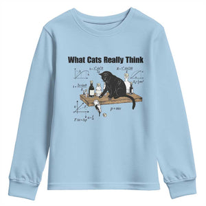Funny Physics Cat Meme Youth Sweatshirt What Cats Really Think TS12 Light Blue Print Your Wear