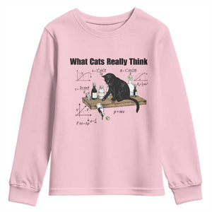 Funny Physics Cat Meme Youth Sweatshirt What Cats Really Think TS12 Light Pink Print Your Wear