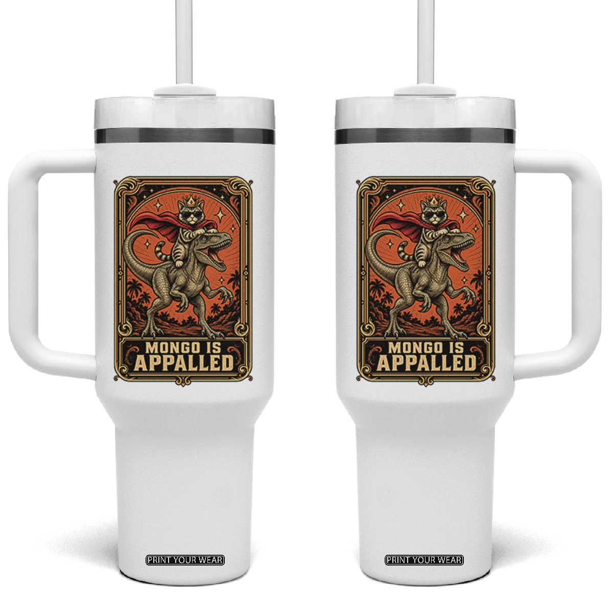 Funny Royal Cat Riding Dinosaur Tumbler With Handle Fantasy Reader Tarot Card Gift