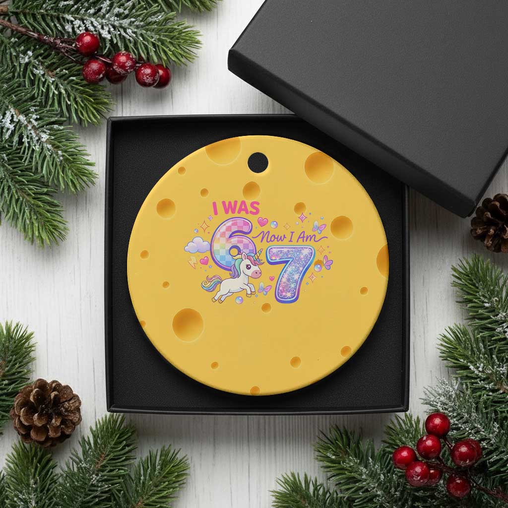 I Was 6 Now I Am 7 Ceramic Ornament Funny Birthday Alpha Kids TS12 1pc Yellow Cheese Print Your Wear