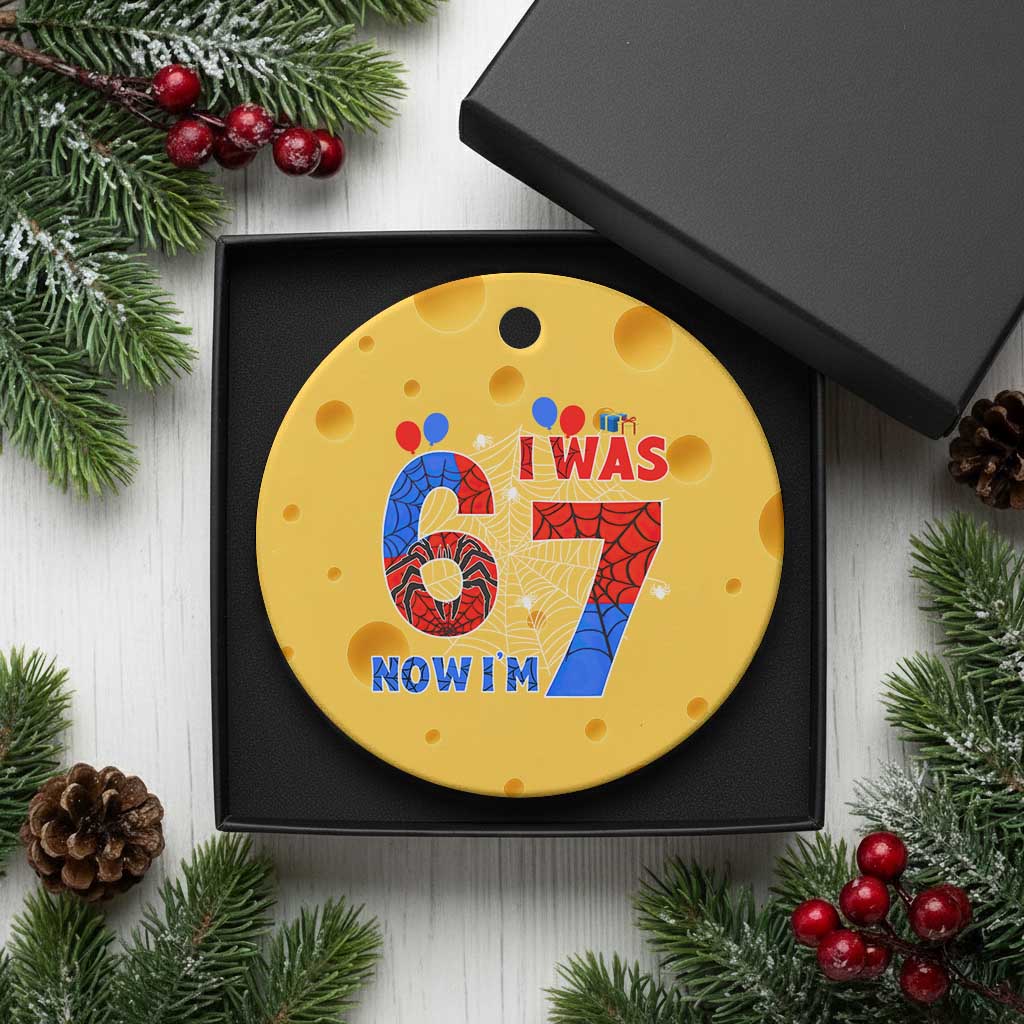 I Was 6 Now I Am 7 Ceramic Ornament Funny Spider Birthday Boy TS12 1pc Yellow Cheese Print Your Wear