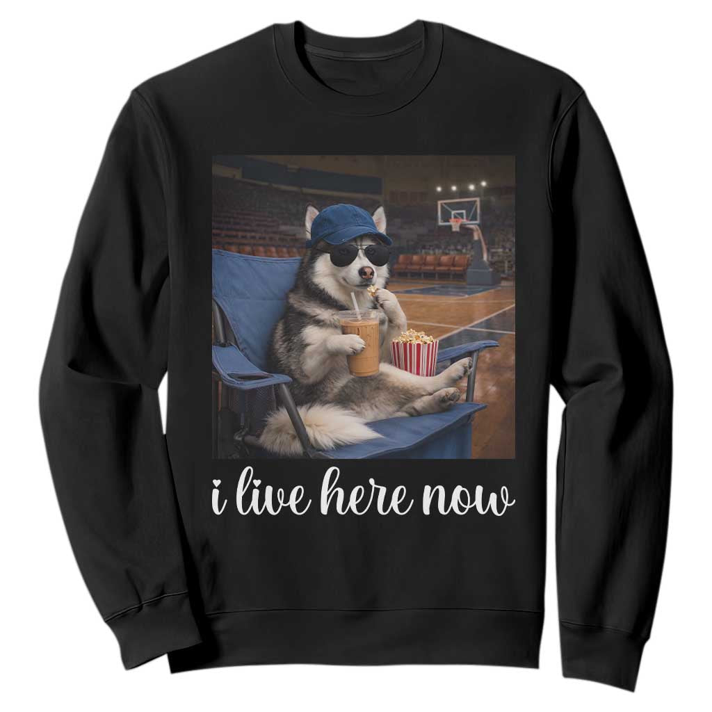 Funny Sarcastic Husky Basketball Sweatshirt I Live Here Now TS12 Black Print Your Wear