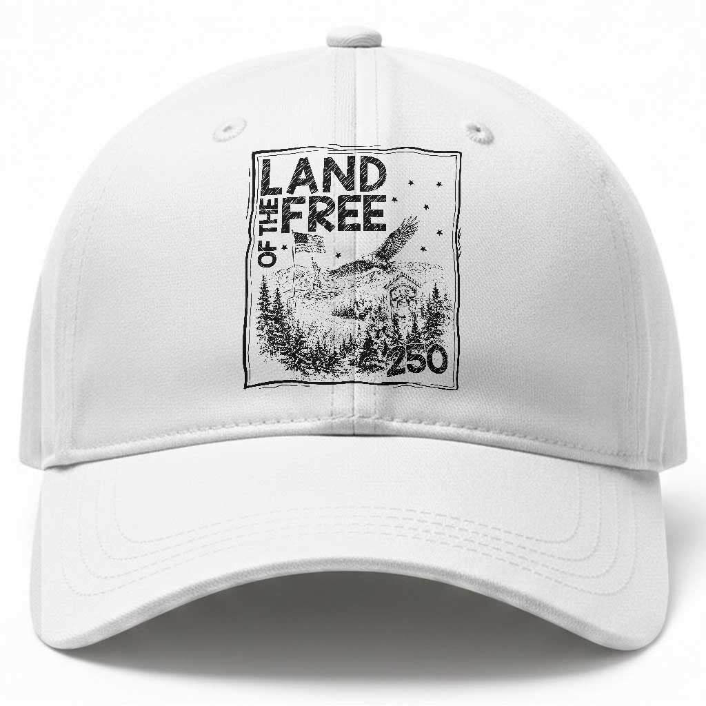 Vintage USA 250 Patriotic Pride Baseball Cap Land Of The Free TS12 Print Your Wear